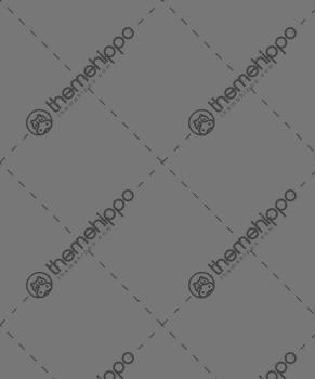 23Z408_AS01_250x350